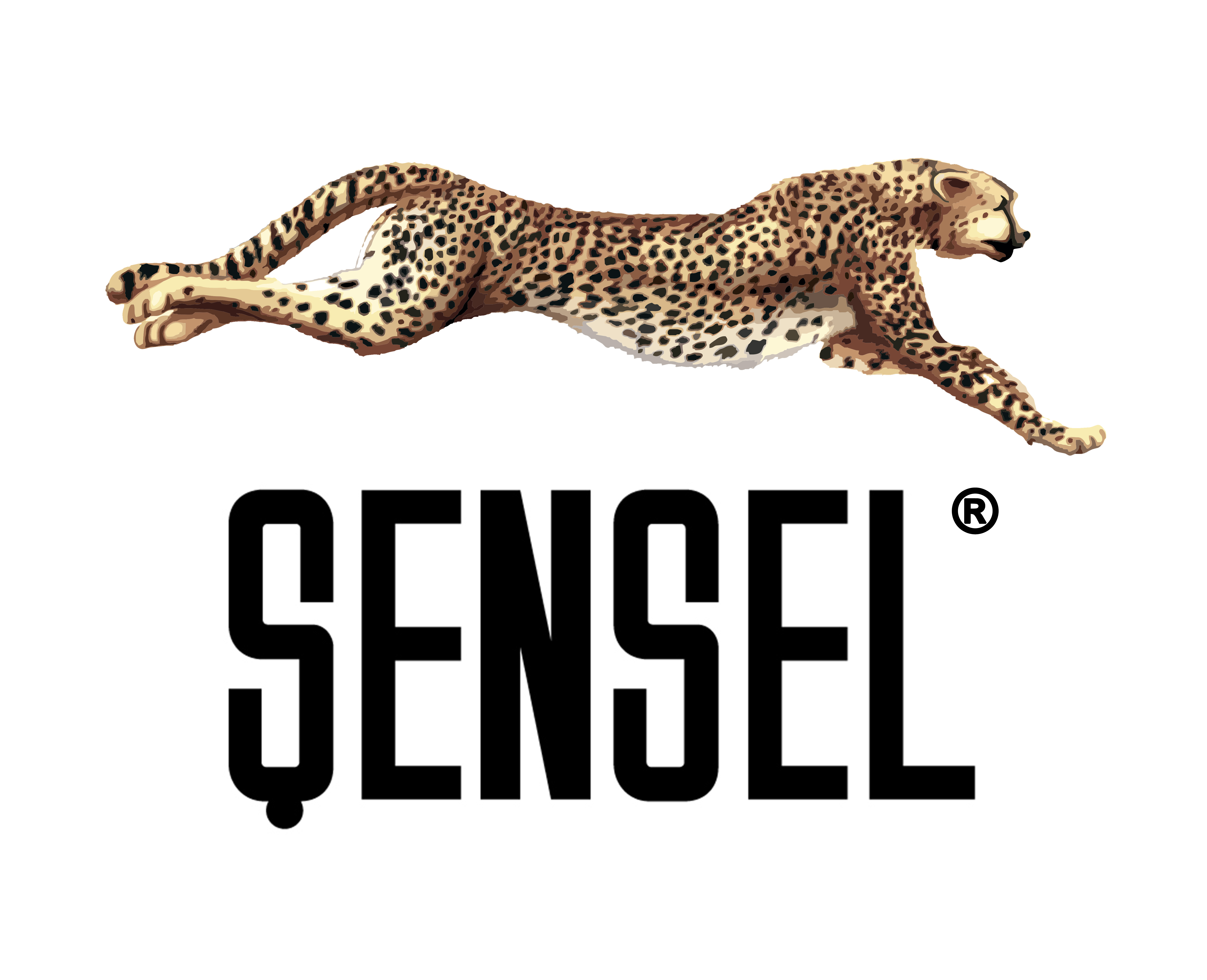 logo sensuel